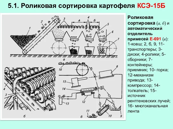 5.1. Роликовая сортировка картофеля КСЭ-15Б Роликовая сортировка (а, б) и