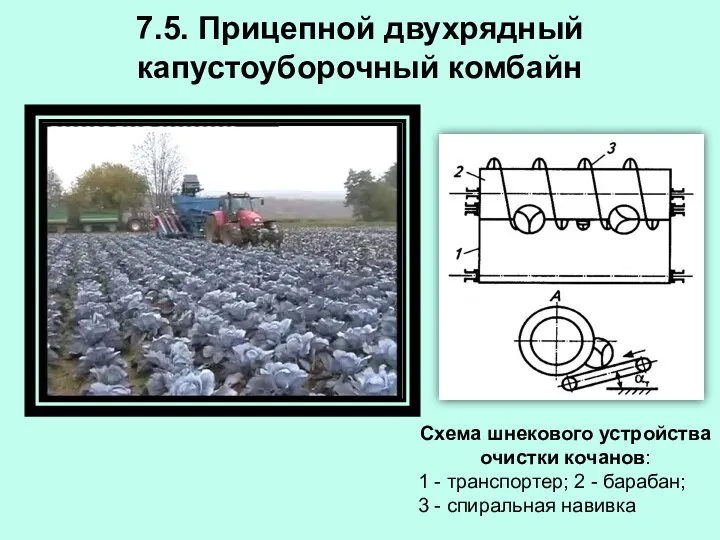 7.5. Прицепной двухрядный капустоуборочный комбайн Схема шнекового устройства очистки кочанов: