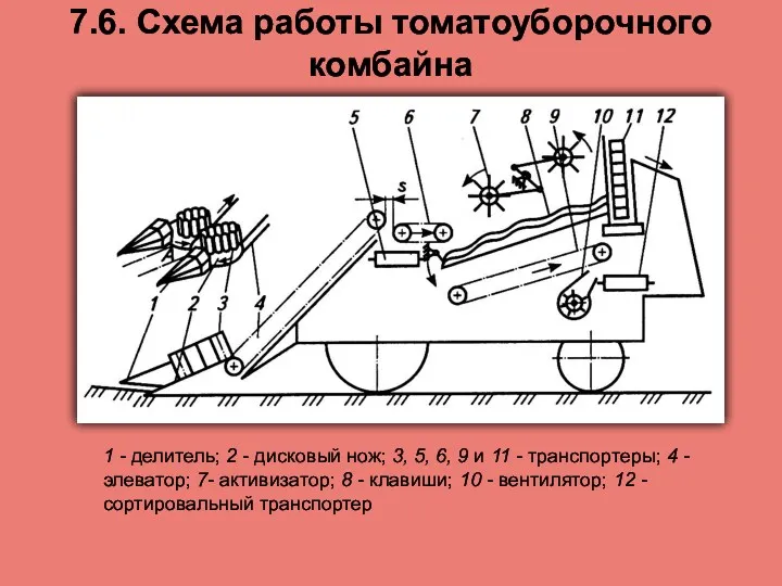 7.6. Схема работы томатоуборочного комбайна 1 - делитель; 2 -