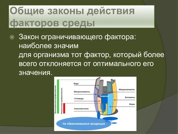 Закон ограничивающего фактора: наиболее значим для организма тот фактор, который