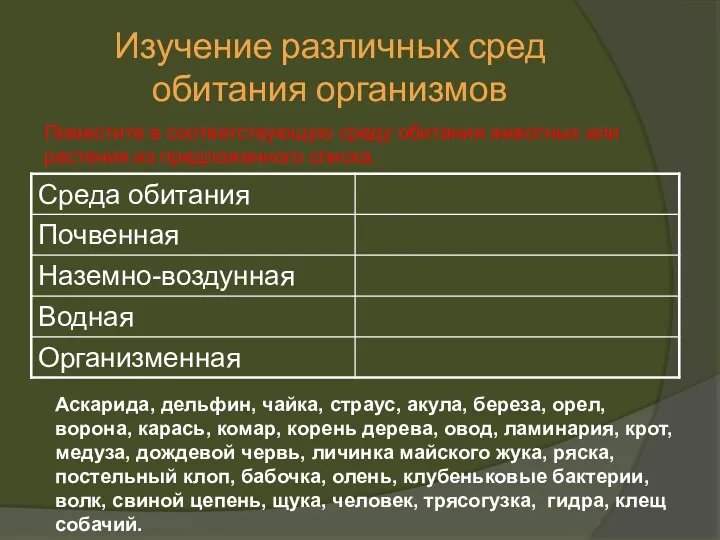 Изучение различных сред обитания организмов Аскарида, дельфин, чайка, страус, акула,