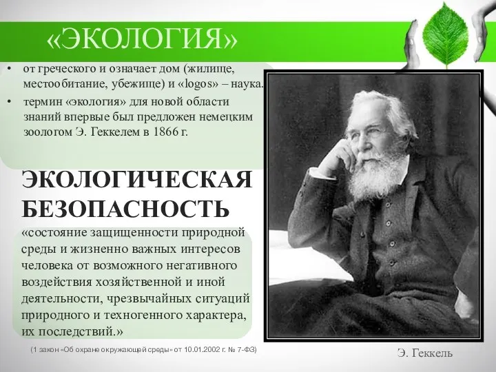 «ЭКОЛОГИЯ» от греческого и означает дом (жилище, местообитание, убежище) и