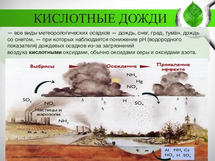 КИСЛОТНЫЕ ДОЖДИ — все виды метеорологических осадков — дождь, снег,