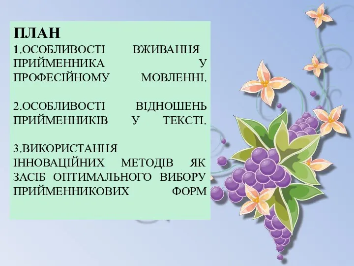 ПЛАН 1.ОСОБЛИВОСТІ ВЖИВАННЯ ПРИЙМЕННИКА У ПРОФЕСІЙНОМУ МОВЛЕННІ. 2.ОСОБЛИВОСТІ ВІДНОШЕНЬ ПРИЙМЕННИКІВ