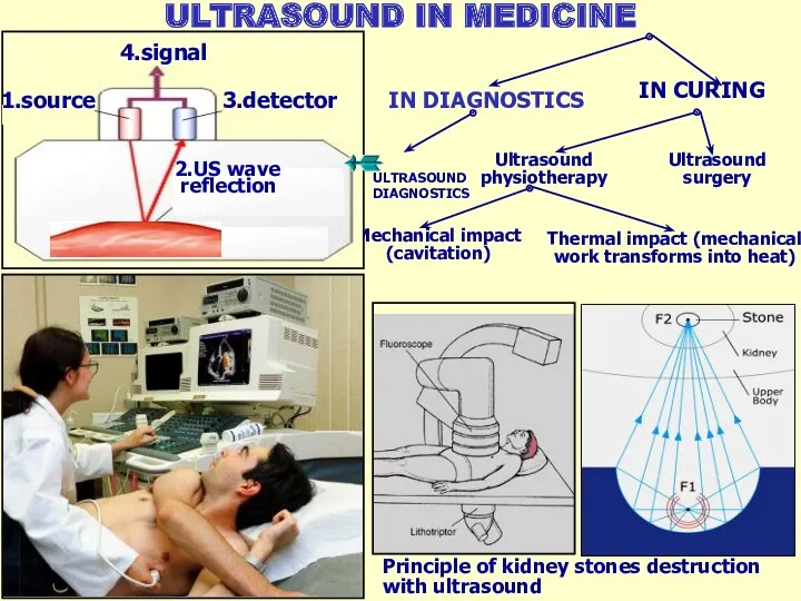ULTRASOUND IN MEDICINE IN DIAGNOSTICS IN CURING Ultrasound physiotherapy Ultrasound