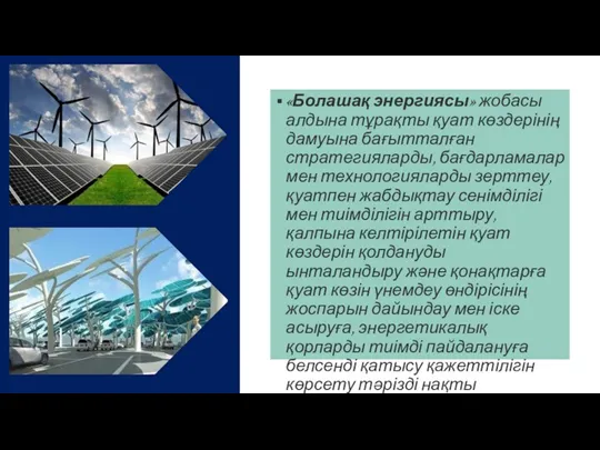 «Болашақ энергиясы» жобасы алдына тұрақты қуат көздерінің дамуына бағытталған стратегияларды,