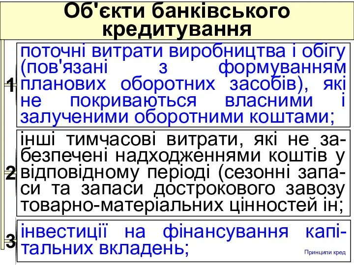 Об'єкти банківського кредитування інші тимчасові витрати, які не за-безпечені надходженнями