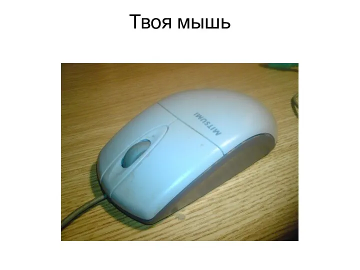 Твоя мышь