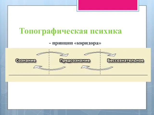 Топографическая психика - принцип «коридора»