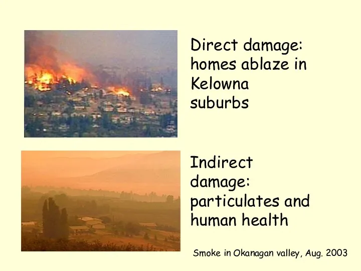 Direct damage: homes ablaze in Kelowna suburbs Indirect damage: particulates