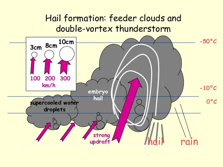 Hail formation: feeder clouds and double-vortex thunderstorm -50°C -10°C 0°C supercooled water droplets