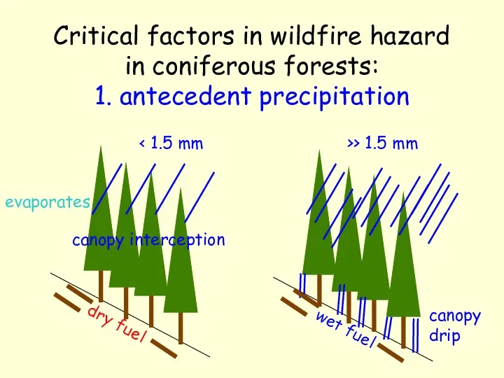 Critical factors in wildfire hazard in coniferous forests: 1. antecedent precipitation dry fuel
