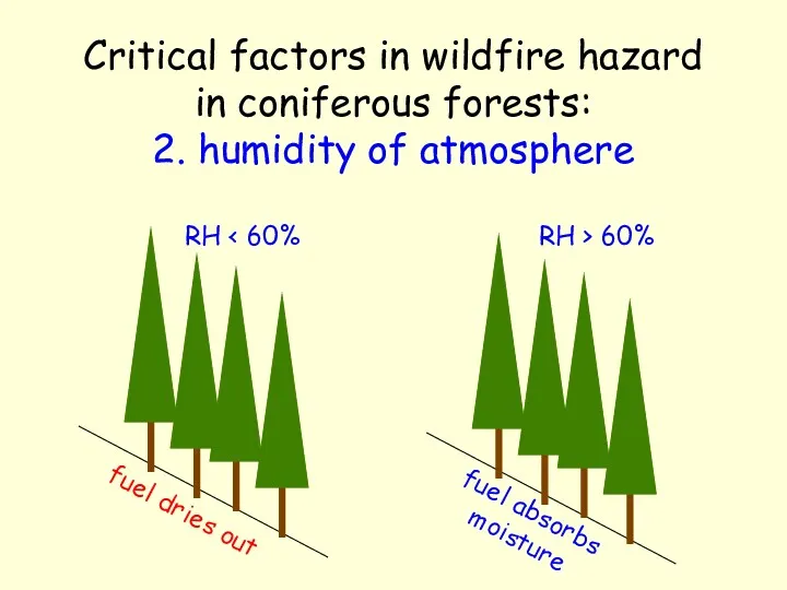 Critical factors in wildfire hazard in coniferous forests: 2. humidity