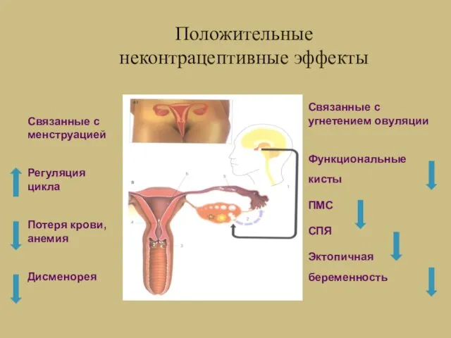 Связанные с менструацией Регуляция цикла Потеря крови, анемия Дисменорея Связанные