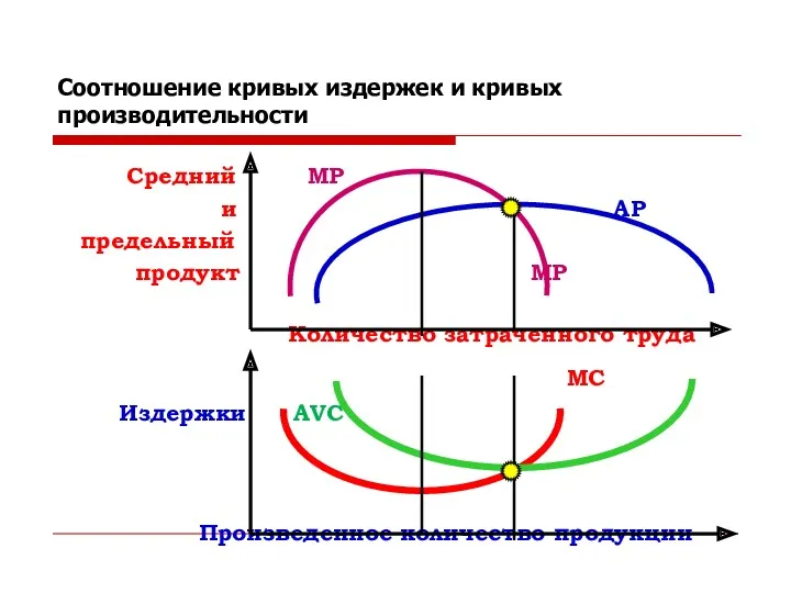 Соотношение кривых издержек и кривых производительности Средний MP и AP предельный продукт MP