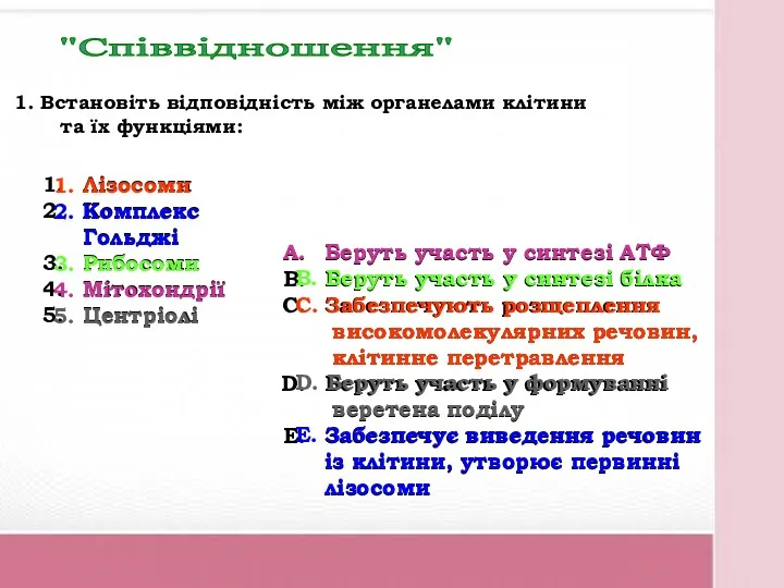 Встановіть відповідність між органелами клітини та їх функціями: Лізосоми Комплекс