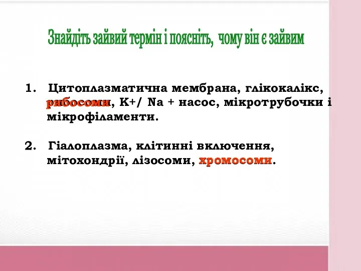 Цитоплазматична мембрана, глікокалікс, рибосоми, К+/ Nа + насос, мікротрубочки і