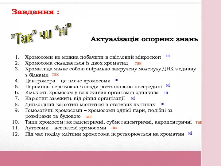 Хромосоми не можна побачити в світловий мікроскоп Хромосома складається із