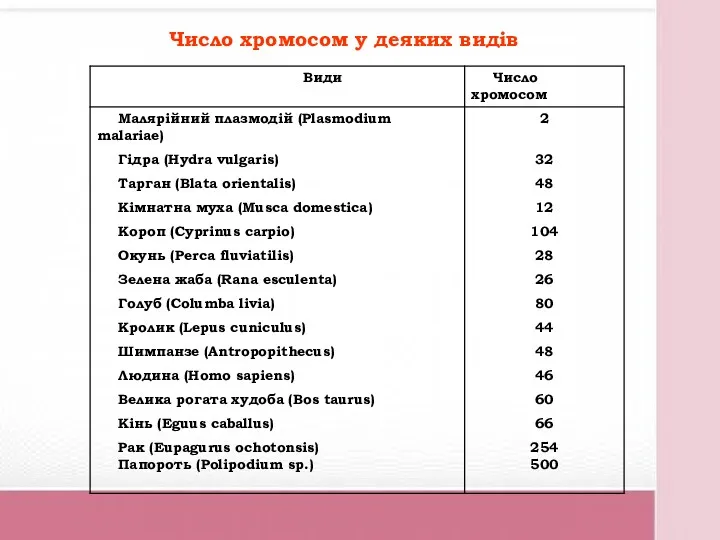 Число хромосом у деяких видів