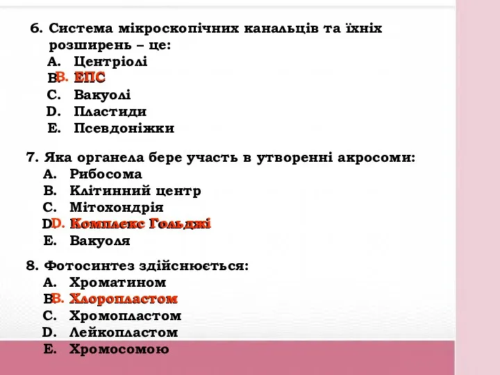 6. Система мікроскопічних канальців та їхніх розширень – це: Центріолі