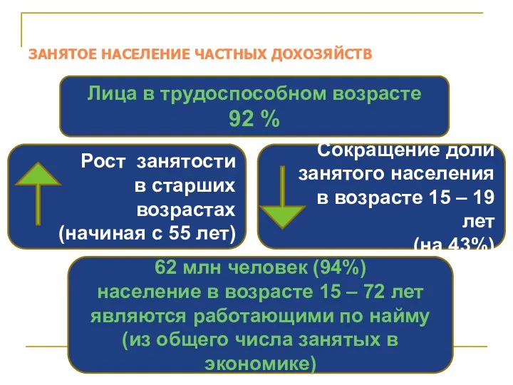 ЗАНЯТОЕ НАСЕЛЕНИЕ ЧАСТНЫХ ДОХОЗЯЙСТВ Лица в трудоспособном возрасте 92 %