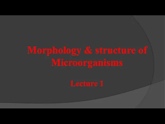 Morphology & structure of Microorganisms Lecture 1