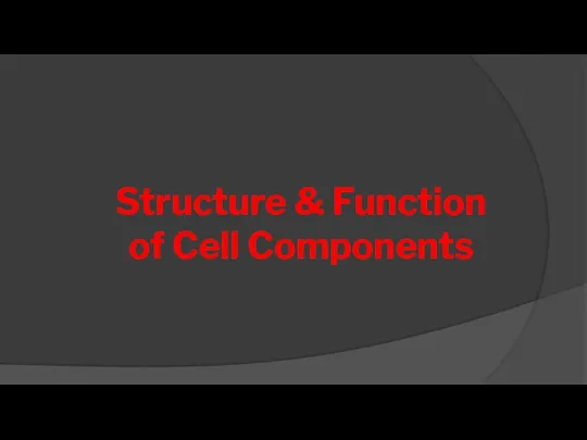 Structure & Function of Cell Components