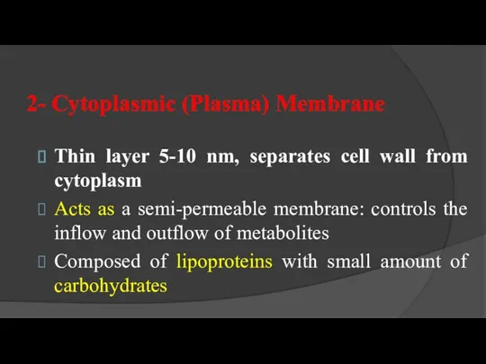 2- Cytoplasmic (Plasma) Membrane Thin layer 5-10 nm, separates cell