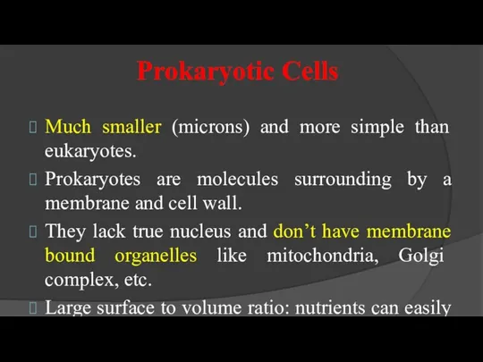 Prokaryotic Cells Much smaller (microns) and more simple than eukaryotes.