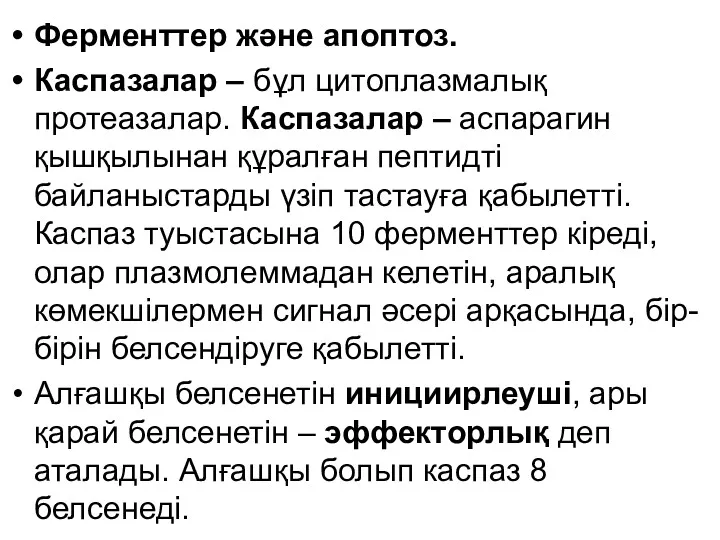 Ферменттер және апоптоз. Каспазалар – бұл цитоплазмалық протеазалар. Каспазалар –