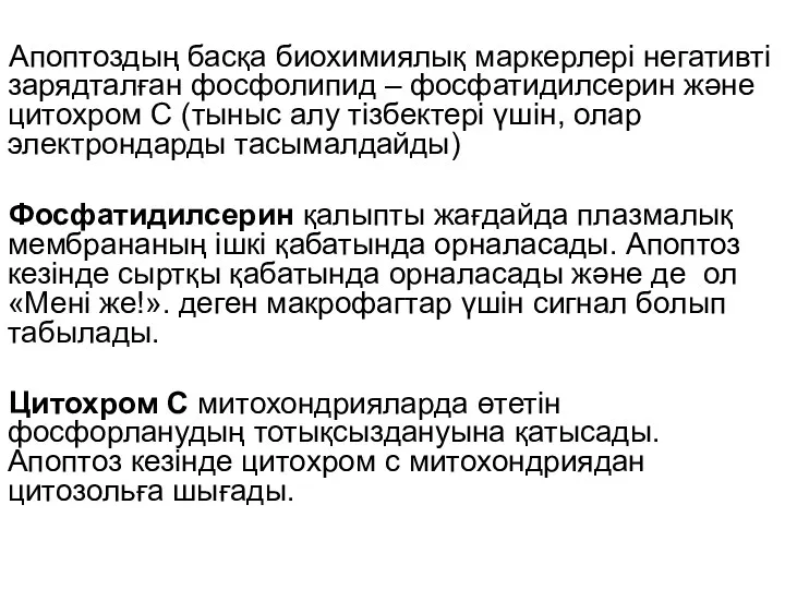 Апоптоздың басқа биохимиялық маркерлері негативті зарядталған фосфолипид – фосфатидилсерин және