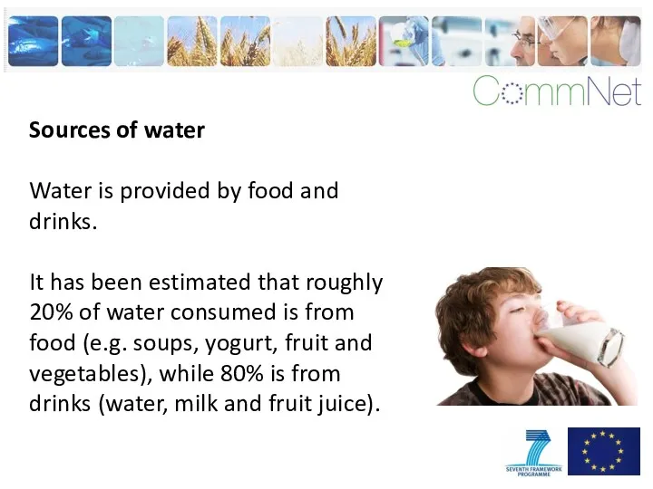 Sources of water Water is provided by food and drinks. It has been