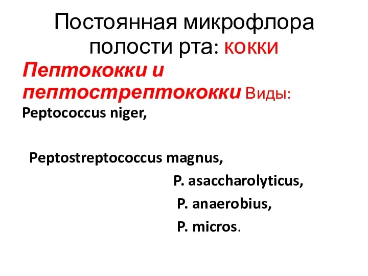 Постоянная микрофлора полости рта: кокки Пептококки и пептострептококки Виды: Peptococcus