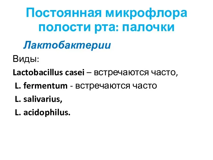 Постоянная микрофлора полости рта: палочки Лактобактерии Виды: Lactobacillus casei – встречаются часто, L.