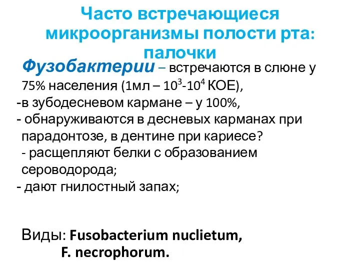 Часто встречающиеся микроорганизмы полости рта: палочки Фузобактерии – встречаются в