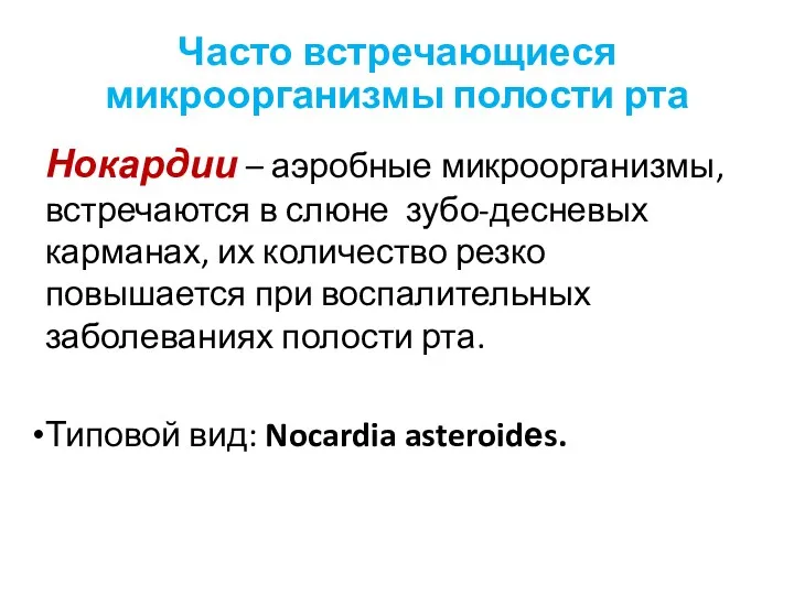 Часто встречающиеся микроорганизмы полости рта Нокардии – аэробные микроорганизмы, встречаются