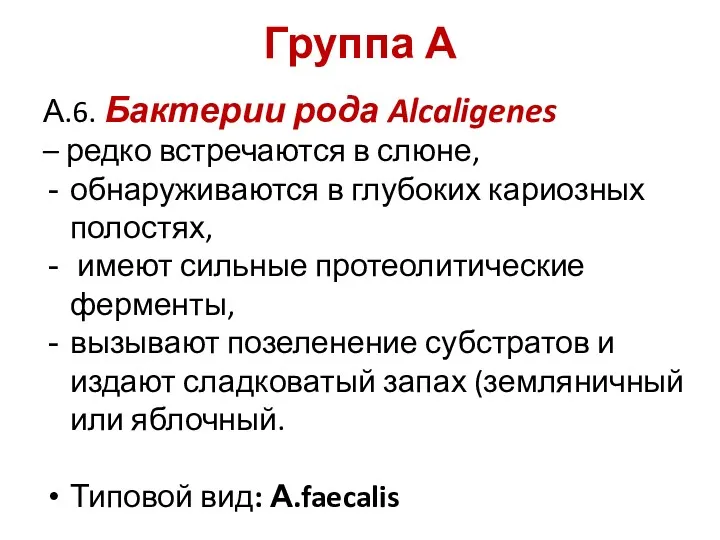 Группа А А.6. Бактерии рода Alcaligenes – редко встречаются в