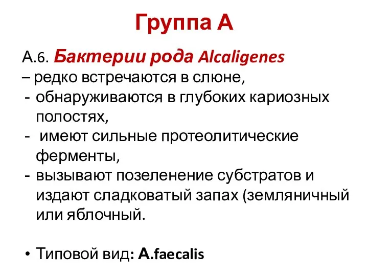 Группа А А.6. Бактерии рода Alcaligenes – редко встречаются в слюне, обнаруживаются в