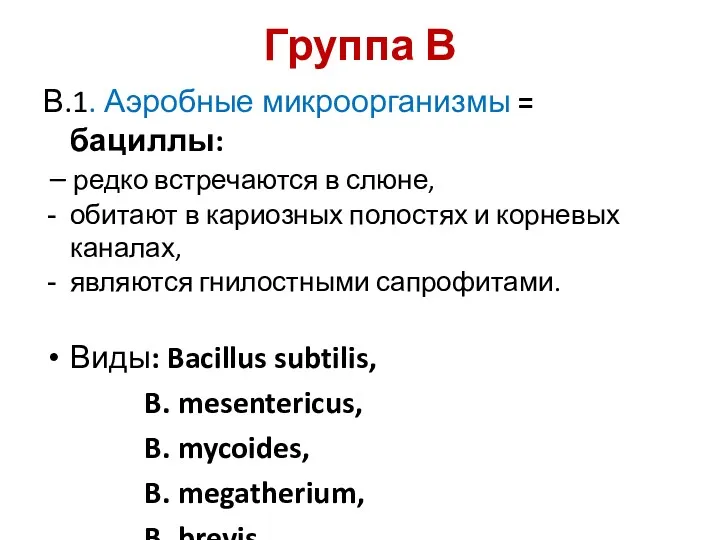 Группа В В.1. Аэробные микроорганизмы = бациллы: – редко встречаются