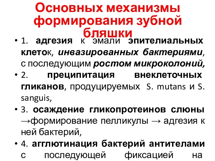 Основных механизмы формирования зубной бляшки 1. адгезия к эмали эпителиальных клеток, инвазированных бактериями,