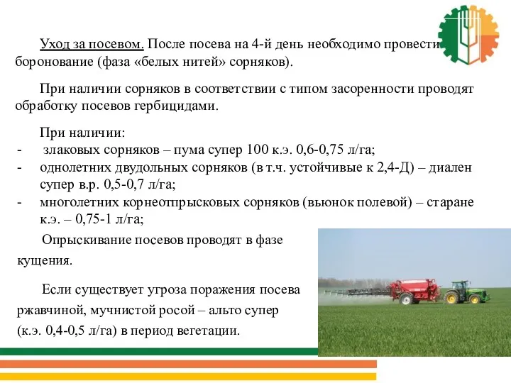 Уход за посевом. После посева на 4-й день необходимо провести