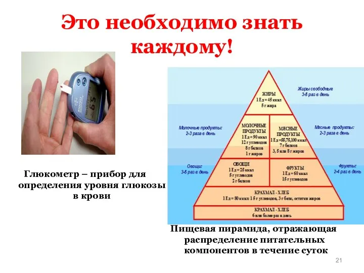 Пищевая пирамида, отражающая распределение питательных компонентов в течение суток Глюкометр