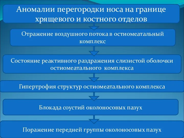 Аномалии перегородки носа на границе хрящевого и костного отделов Отражение