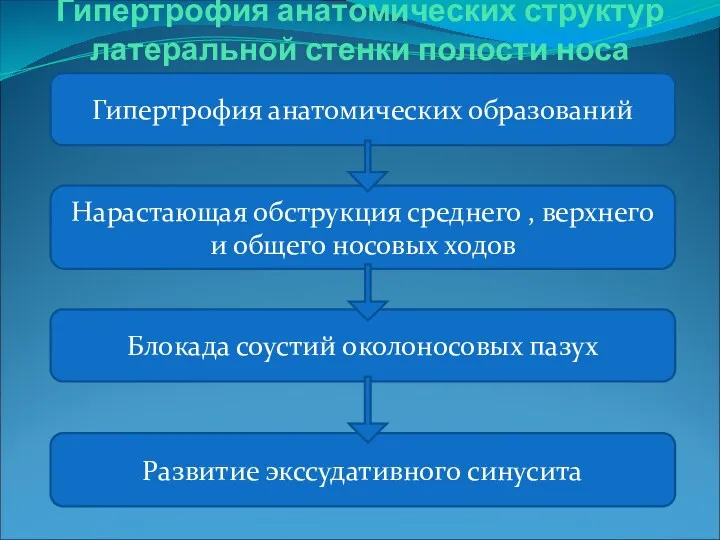 Гипертрофия анатомических структур латеральной стенки полости носа Гипертрофия анатомических образований