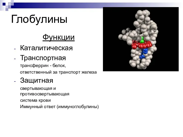 Глобулины Функции Каталитическая Транспортная трансферрин - белок, ответственный за транспорт железа Защитная свертывающая