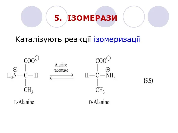 5. ІЗОМЕРАЗИ Каталізують реакції ізомеризації