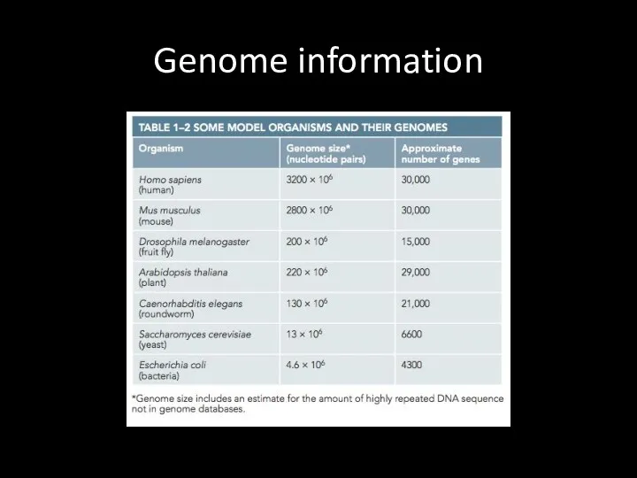 Genome information