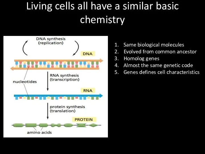 Living cells all have a similar basic chemistry Same biological molecules Evolved from
