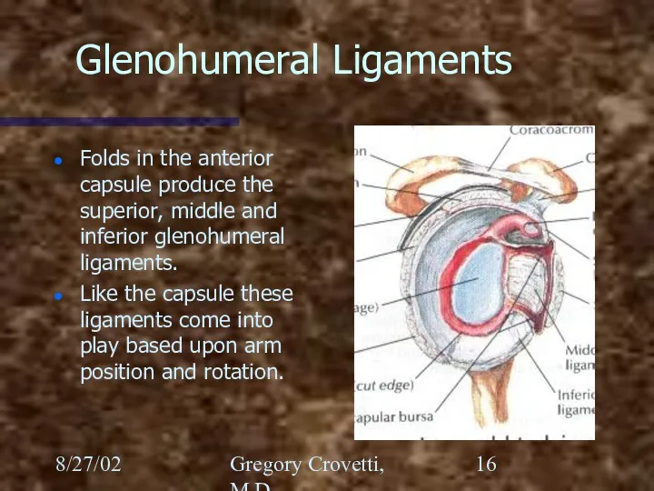 8/27/02 Gregory Crovetti, M.D. Glenohumeral Ligaments Folds in the anterior