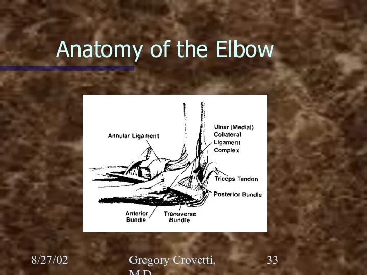 8/27/02 Gregory Crovetti, M.D. Anatomy of the Elbow